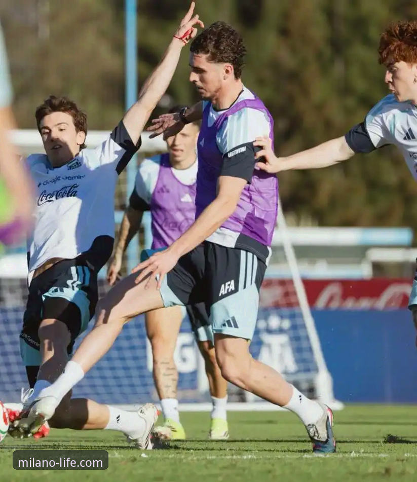 阿根廷世界杯征程突遭重创，高中锋新星帕尼切利确认赛季报销